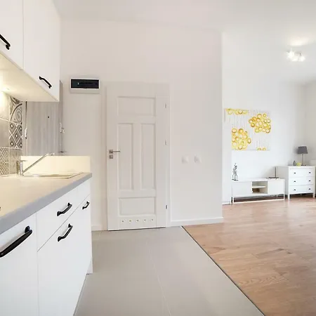 公寓 W Centrum Olsztyna 奥尔什丁