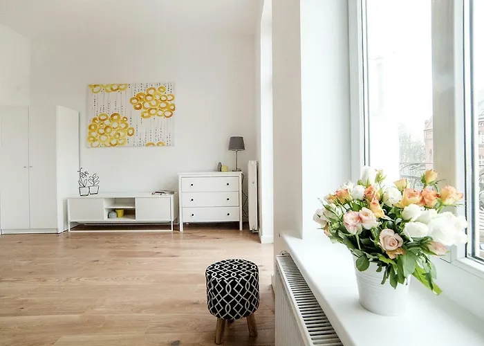 W Centrum Olsztyna 公寓 *