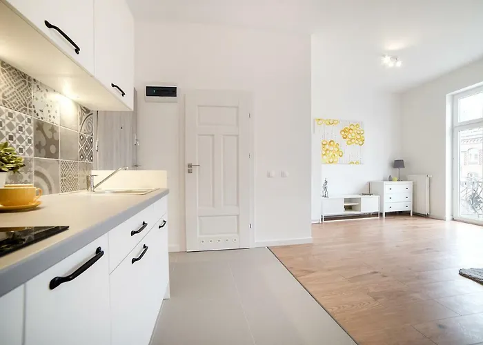 公寓 W Centrum Olsztyna 奥尔什丁