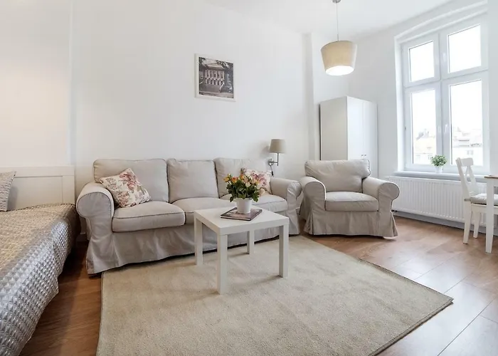 W Centrum Olsztyna 公寓 *