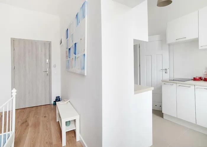 W Centrum Olsztyna 公寓 奥尔什丁